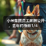 小米集团员工薪酬公开，去年约涨薪1/4（图4）