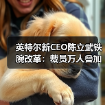 英特尔新CEO陈立武铁腕改革：裁员万人叠加每周四天到岗令（图4）