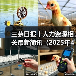 三茅日报丨人力资源相关最新简讯（2025年4月24日）（图2）