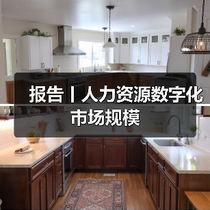 报告丨人力资源数字化市场规模（图4）