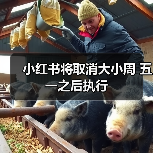 小红书将取消大小周 五一之后执行（图1）