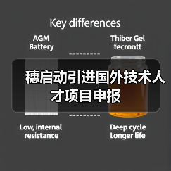 穗启动引进国外技术人才项目申报（图1）