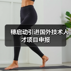 穗启动引进国外技术人才项目申报（图4）