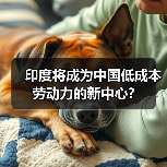 印度将成为中国低成本劳动力的新中心?（图1）