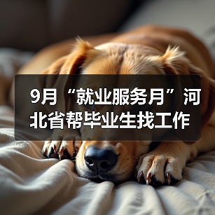 9月“就业服务月”河北省帮毕业生找工作（图2）
