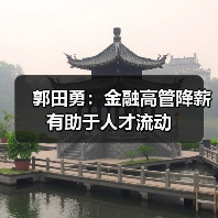 郭田勇：金融高管降薪有助于人才流动（图4）