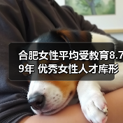 合肥女性平均受教育8.79年 优秀女性人才库形成（图3）