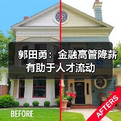 郭田勇：金融高管降薪有助于人才流动（图2）