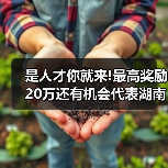 是人才你就来!最高奖励20万还有机会代表湖南“征战”（图4）
