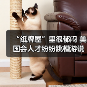 “纸牌屋”里很郁闷 美国会人才纷纷跳槽游说业（图1）