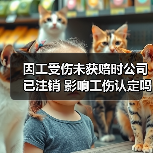 因工受伤未获赔时公司已注销 影响工伤认定吗？（图3）