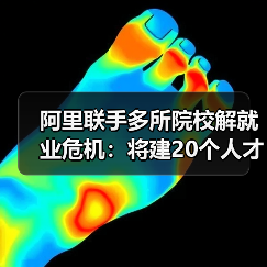 阿里联手多所院校解就业危机：将建20个人才孵化基地（图2）