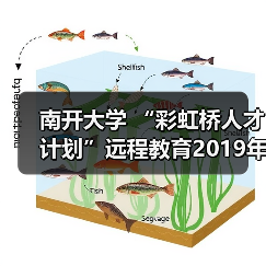 南开大学 “彩虹桥人才计划”远程教育2019年开学典礼（图2）