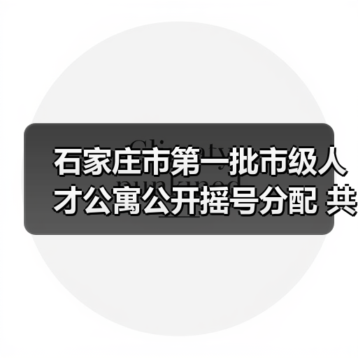 石家庄市第一批市级人才公寓公开摇号分配 共534套（图1）