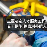 三亚制定人才服务工作若干措施 探索对外籍人员的工作（图3）