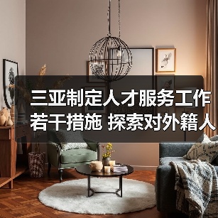 三亚制定人才服务工作若干措施 探索对外籍人员的工作（图2）