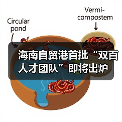 海南自贸港首批“双百人才团队”即将出炉（图2）