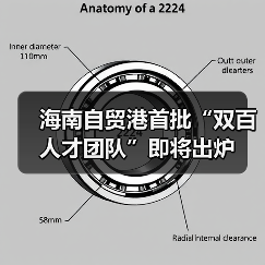 海南自贸港首批“双百人才团队”即将出炉（图3）