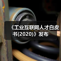 《工业互联网人才白皮书(2020)》发布（图4）