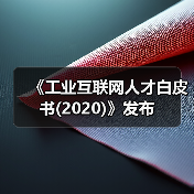 《工业互联网人才白皮书(2020)》发布（图3）