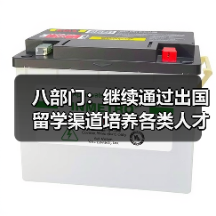 八部门：继续通过出国留学渠道培养各类人才（图4）