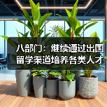 八部门：继续通过出国留学渠道培养各类人才（图1）