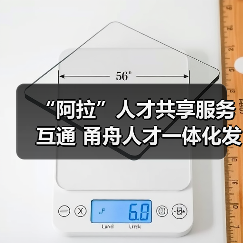 “阿拉”人才共享服务互通 甬舟人才一体化发展行动方（图3）