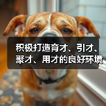 积极打造育才、引才、聚才、用才的良好环境 上海长宁（图2）