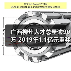 广西柳州人才总量逾90万 2019年1.1亿元重奖各类人才（图3）