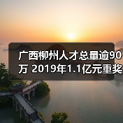 广西柳州人才总量逾90万 2019年1.1亿元重奖各类人才（图1）