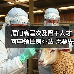 厦门高层次及骨干人才可申领住房补贴 需要先确认人才（图1）