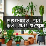 积极打造育才、引才、聚才、用才的良好环境 上海长宁（图4）