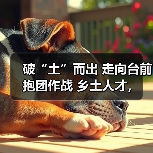 破“土”而出 走向台前 抱团作战 乡土人才，释放强大（图2）