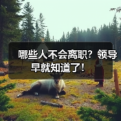哪些人不会离职？领导早就知道了！（图1）