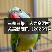 三茅日报丨人力资源相关最新简讯（2025年4月29日）（图4）