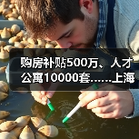 购房补贴500万、人才公寓10000套……上海青浦区推出“（图4）