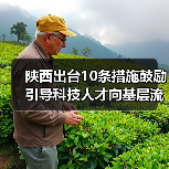 陕西出台10条措施鼓励引导科技人才向基层流动（图4）