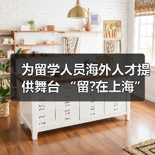 为留学人员海外人才提供舞台 “留?在上海”定有一片（图1）