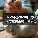 遂宁启动2020年“乡村人才振兴百村千户示范工程”评选（图3）
