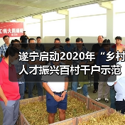 遂宁启动2020年“乡村人才振兴百村千户示范工程”评选（图1）
