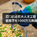 厦门启动五大人才工程 最高享有1000万元购房补贴（图4）