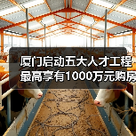 厦门启动五大人才工程 最高享有1000万元购房补贴（图2）