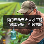 厦门启动五大人才工程 “群鹭兴厦”引领高质量发展（图3）