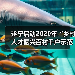 遂宁启动2020年“乡村人才振兴百村千户示范工程”评选（图2）