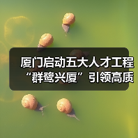 厦门启动五大人才工程 “群鹭兴厦”引领高质量发展（图4）