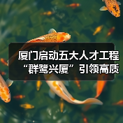 厦门启动五大人才工程 “群鹭兴厦”引领高质量发展（图2）