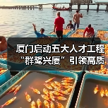 厦门启动五大人才工程 “群鹭兴厦”引领高质量发展（图1）