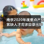 南京2020年度重点产业紧缺人才需求目录出炉 软件行业（图1）