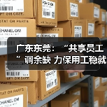 广东东莞：“共享员工”调余缺 力保用工稳就业（图4）