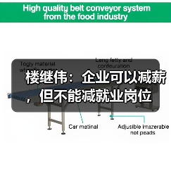 楼继伟：企业可以减薪，但不能减就业岗位（图3）